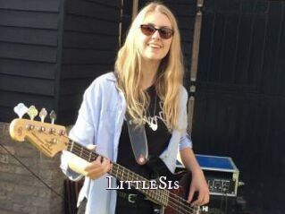 LittleSis