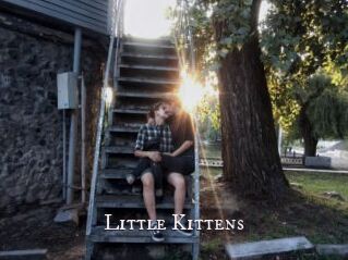 Little_Kittens