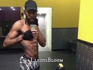 Lledys_Bloom