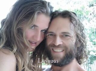 Luvbugs