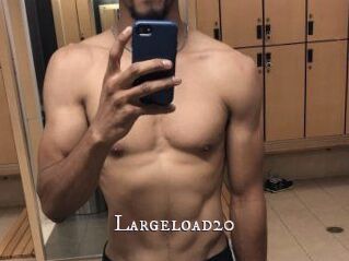 Largeload20