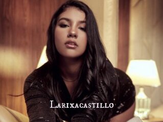 Larixacastillo
