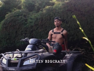 Latin_bigcrazy