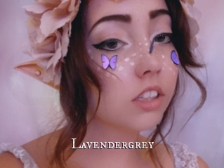 Lavendergrey