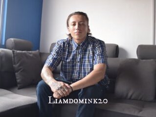 Liamdomink20
