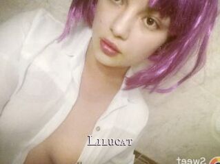 Lilucat