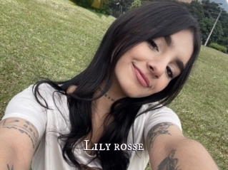 Lily_rosse