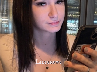 Lilygrows
