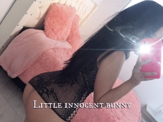 Little_innocent_bunny