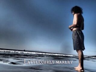 Littlecurly_marley