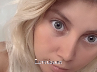 Littlesary