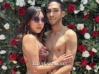 Lizyandmarks
