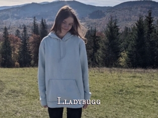 Lladybugg