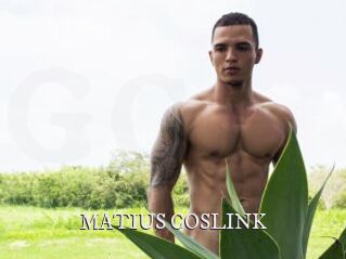 MATIUS_COSLINK