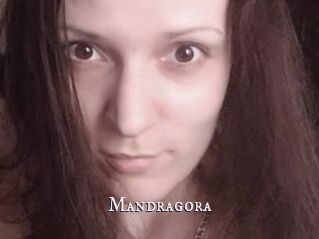 Mandragora