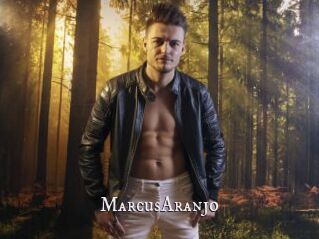 MarcusAranjo