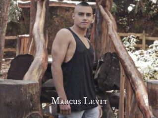 Marcus_Levit