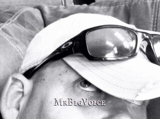 MrBigVoice
