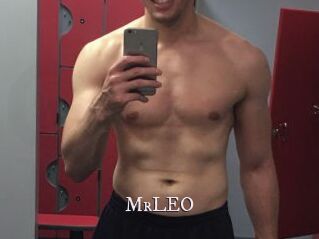 MrLEO