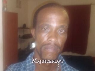 Mrjuiceflow