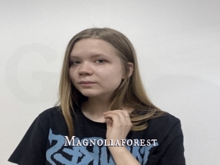 Magnoliaforest