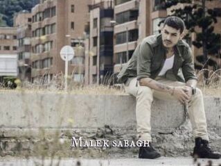 Malek_sabagh