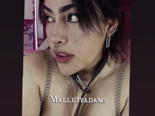 Malleyyadams