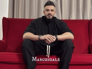 Marcusgale