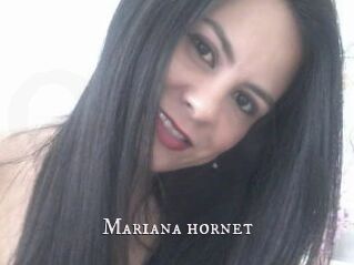 Mariana_hornet