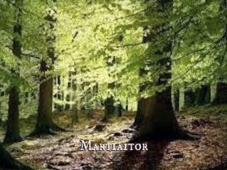Martiaitor