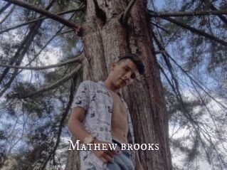 Mathew_brooks