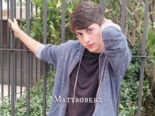 Mattrobert