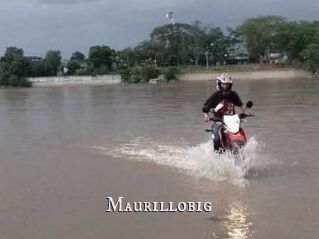 Maurillobig