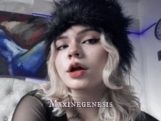 Maxinegenesis