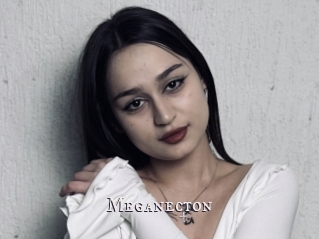 Meganecton