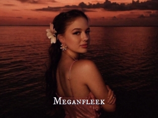 Meganfleek
