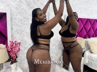 Meridaroas