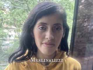 Merlinaliizz
