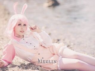 Meulin
