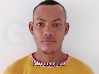 Mieldefresa