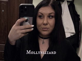 Mollyblizard