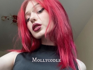 Mollycodle
