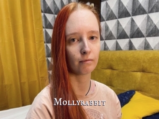 Mollyrabbit