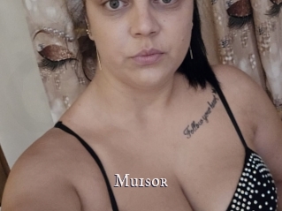 Muisor