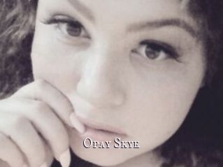 Opay_Skye