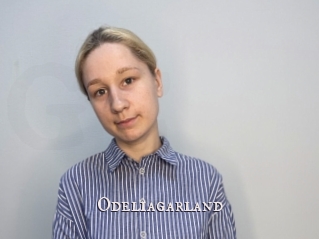 Odeliagarland