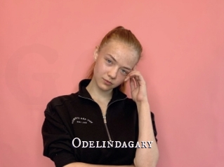 Odelindagary