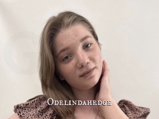 Odelindahedge