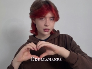 Odellahakes