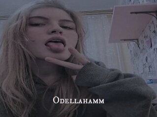 Odellahamm